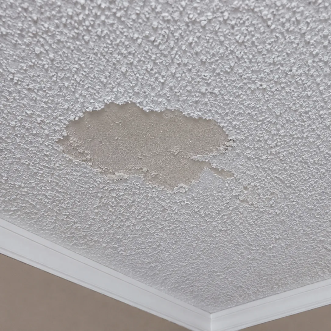 Popcorn Ceiling Repair